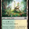 Radiant Grove