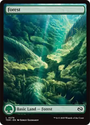 Forest