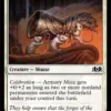 Armory Mice