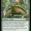 Blossoming Tortoise