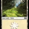 Plains