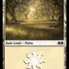 Plains