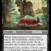 Experimental Confectioner