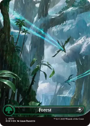 Forest