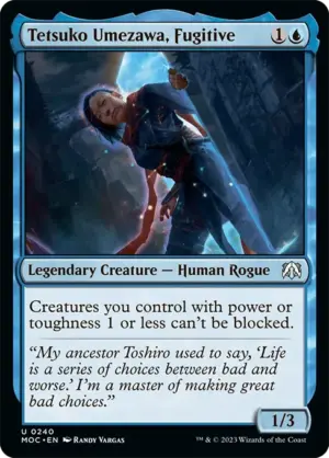 Tetsuko Umezawa, Fugitive