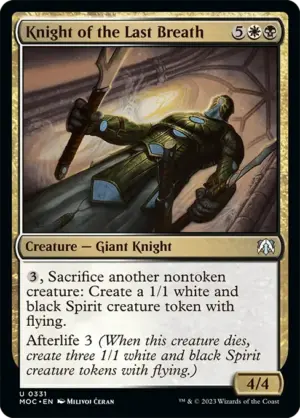 Knight of the Last Breath