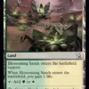 Blossoming Sands
