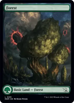 Forest