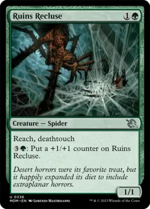 Ruins Recluse
