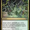 Mind Roots